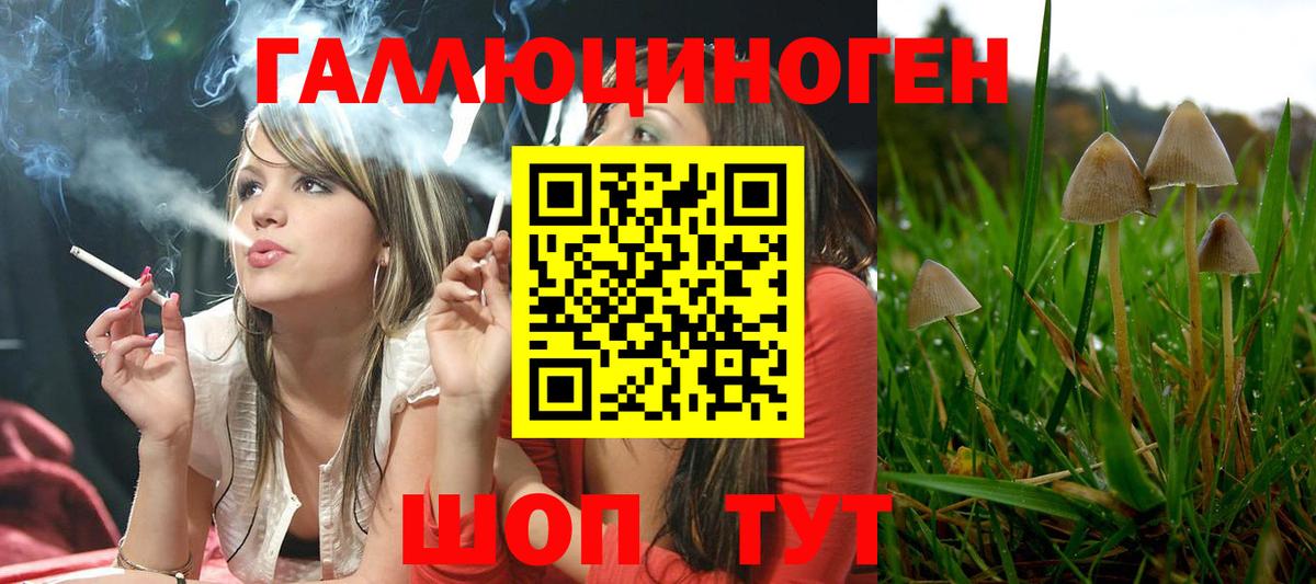 Галлюциногенные грибы прущие грибы Вязники