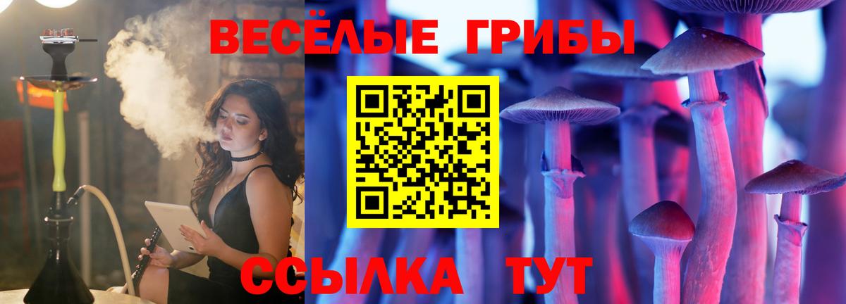 Вязники  Галлюциногенные грибы Magic Shrooms  купить наркотики сайты  Вход с VPN 